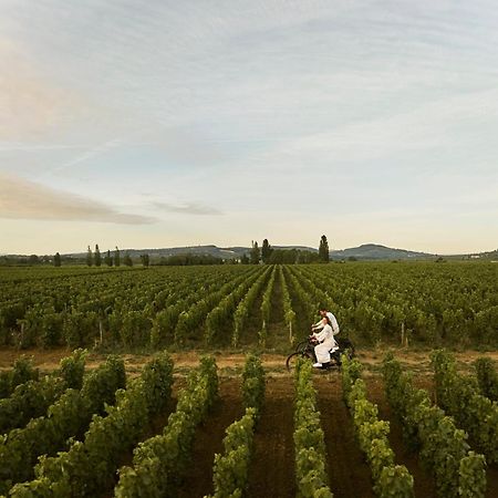 Como Le Montrachet بوليغني-مونتراتشيت المظهر الخارجي الصورة