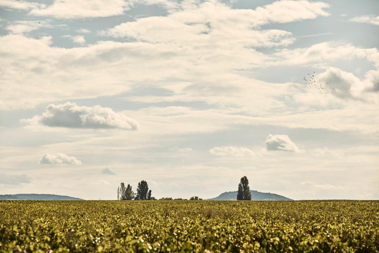 Como Le Montrachet بوليغني-مونتراتشيت المظهر الخارجي الصورة