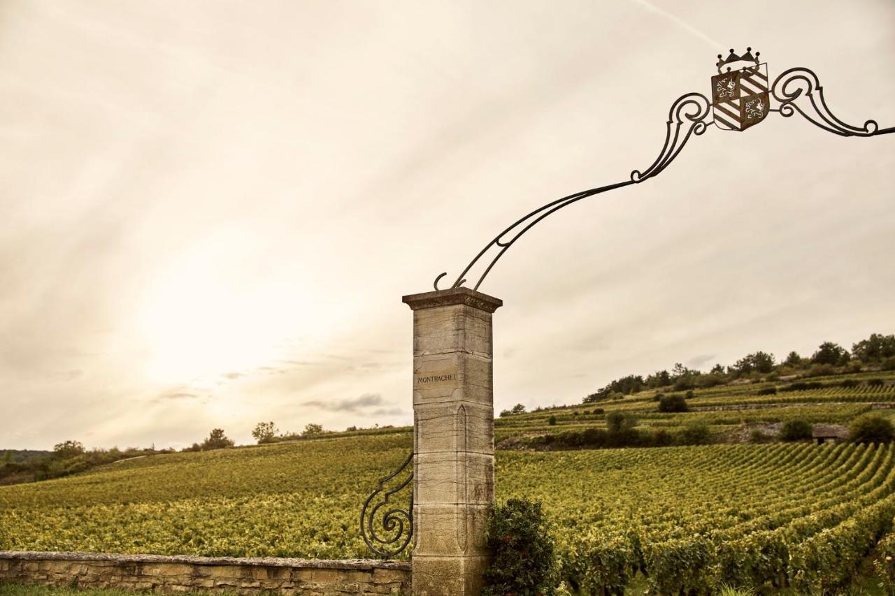Como Le Montrachet بوليغني-مونتراتشيت المظهر الخارجي الصورة