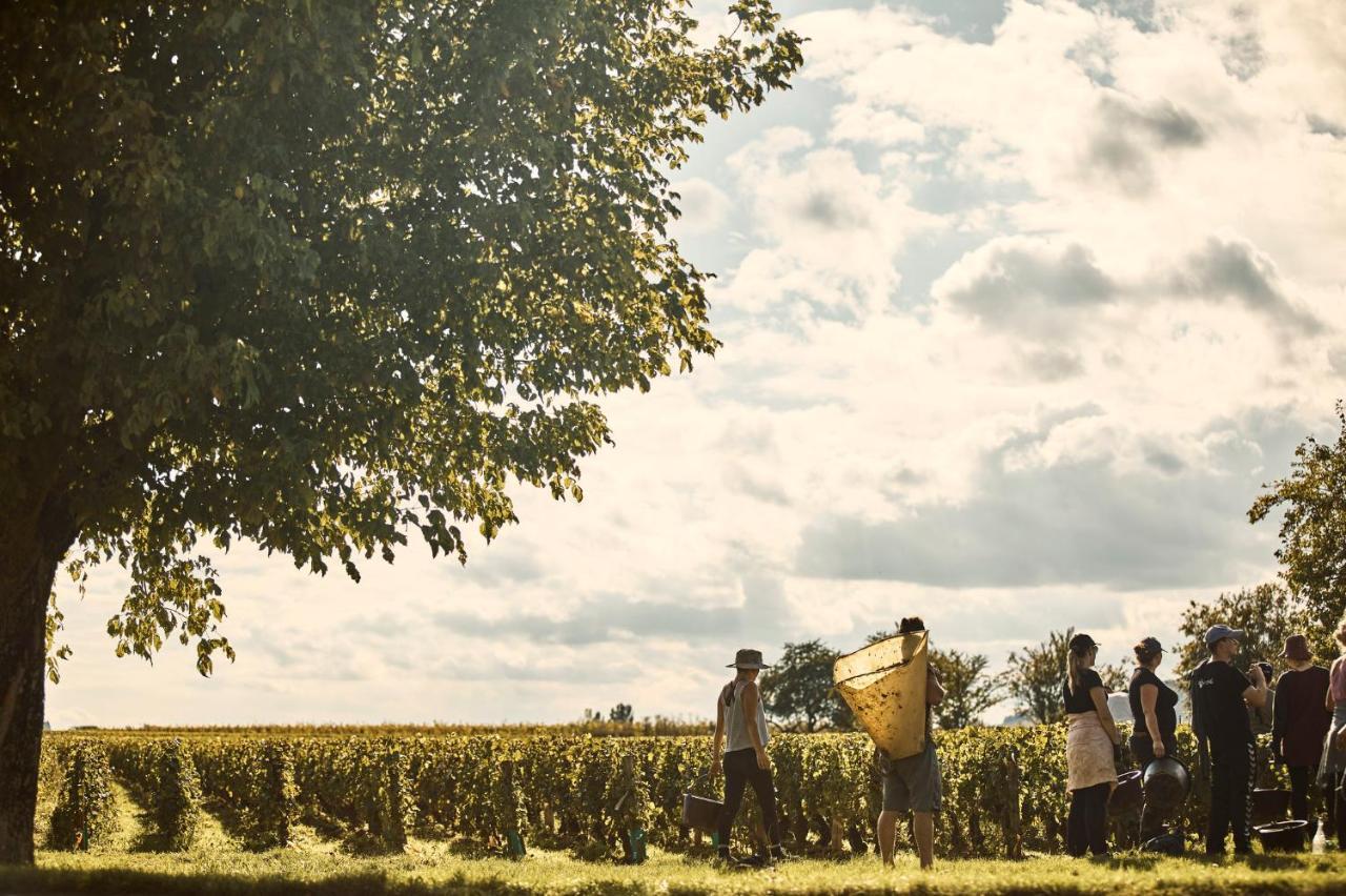 Como Le Montrachet بوليغني-مونتراتشيت المظهر الخارجي الصورة