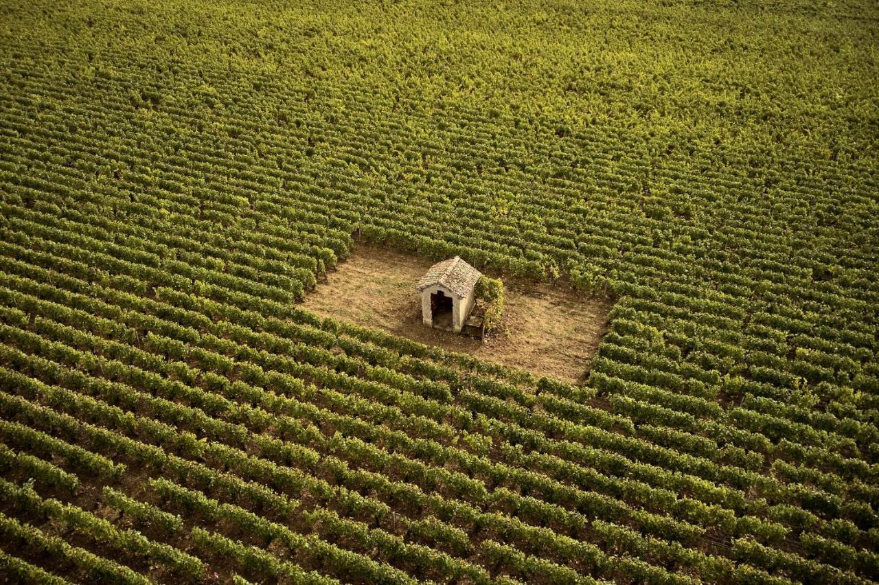 Como Le Montrachet بوليغني-مونتراتشيت المظهر الخارجي الصورة