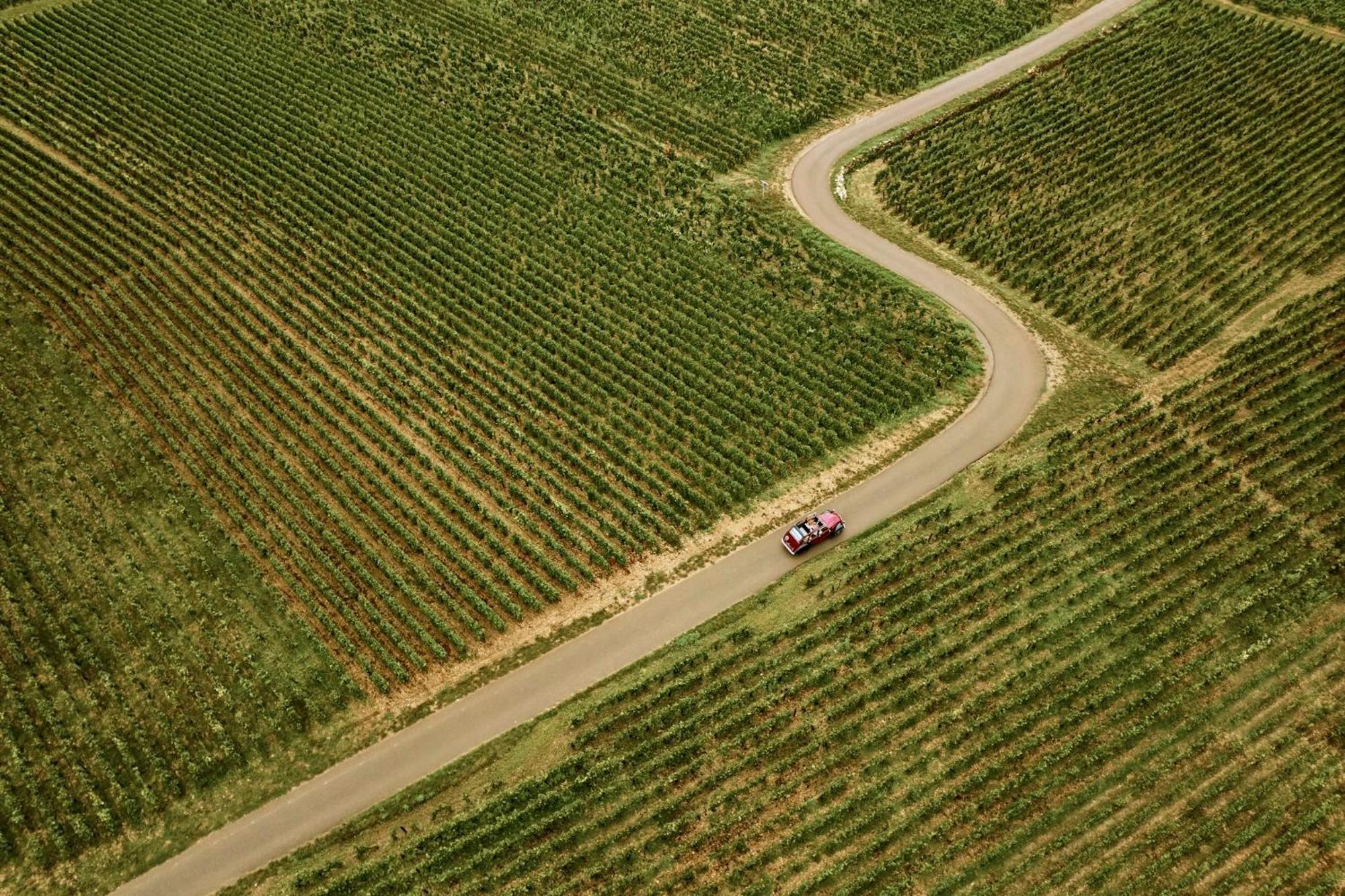 Como Le Montrachet بوليغني-مونتراتشيت المظهر الخارجي الصورة